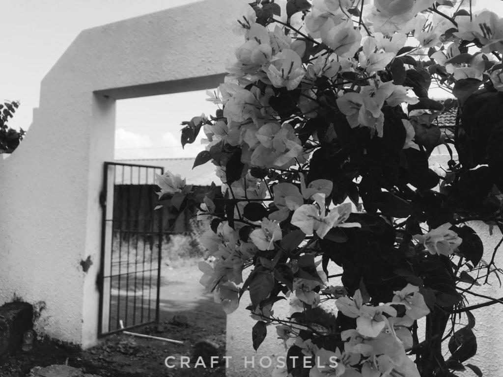Craft Hostels Анжуна Екстер'єр фото